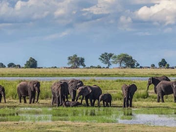3Day Small Group Masai Mara Safari Tour