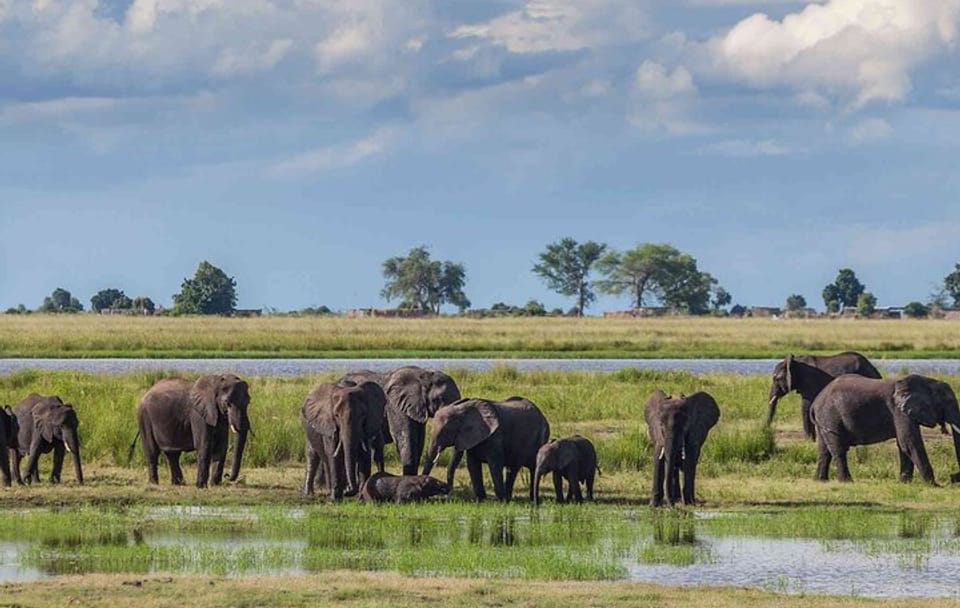 3Day Small Group Masai Mara Safari Tour
