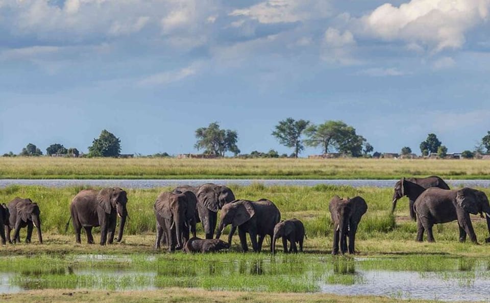 3Day Small Group Masai Mara Safari Tour