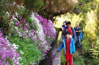 Skywalk & Rabacal "25 Fountains Levada Walk" in Open Roof 4x4 Full Day Tour 7