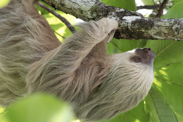Six-Day Adventure Tour of Costa Rica's Highlights