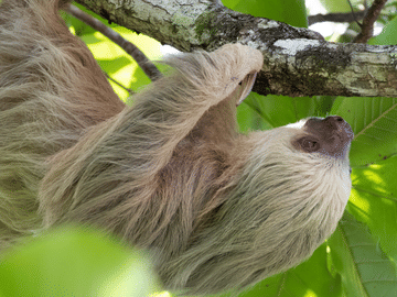 Six-Day Adventure Tour of Costa Rica's Highlights