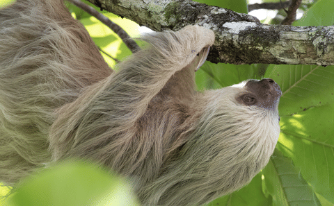 Six-Day Adventure Tour of Costa Rica's Highlights