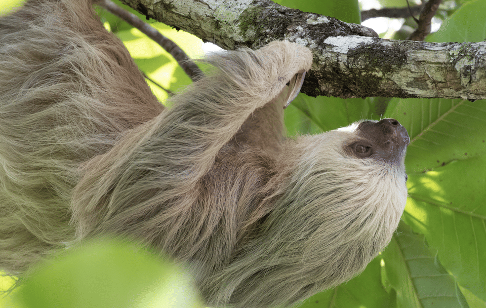 Costa Rica – Best of Costa Rica 4 Days