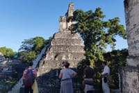 Tikal Shared Experience: Flight + One Day Tour from Antigua 8