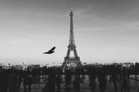 Full-Day Tour to Eiffel Tower with Seine River Dinner Cruise and Saint Germain 7