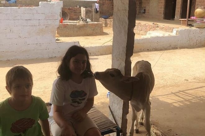 A Part of Bishnoi Village Safari
