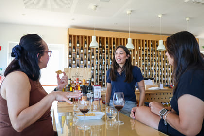 From Lisbon: Évora, Chapel of Bones & Alentejo Wine Tour Small-Group Tour