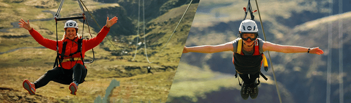 Double Thrill: Wings of the Bird, Flight of the Falcon