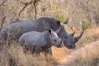 ol pejeta Conservancy