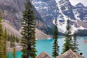 Lake Louise, Moraine Lake, Peyto Lake, Crowfoot Tour from Calgary
