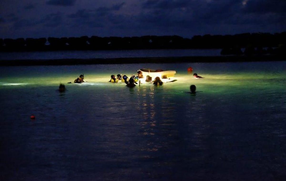 Night Snorkeling Experience in Mirissa