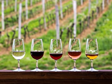 Over 100 Varieties to Savor