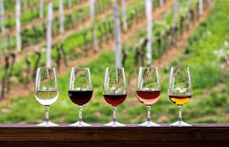 Private Wine Tour in Sedona, Arizona