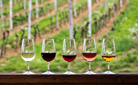 Private Wine Tasting Tour in Sedona and Cornville