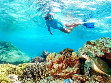 Snorkeling Trip to Mnemba Atoll with Seafood Lunch