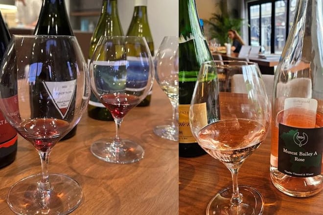 Compare white, rosé, orange and red Japanese wines in one immersive tasting.