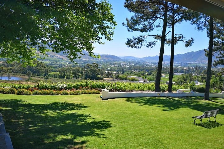 Franschhoek Vineyards from Le Petite Restaurant