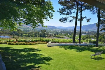 Private Cape Winelands Tour from Stellenbosch, Franschhoek, or Paarl