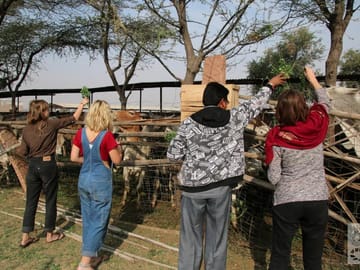 10-Day Cultural Tour of Rajasthan and Agra from Delhi