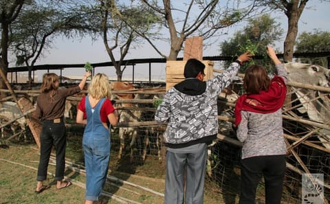 10-Day Cultural Tour of Rajasthan and Agra from Delhi