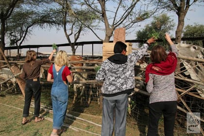 10-Days Rajasthan with Agra tour from Delhi