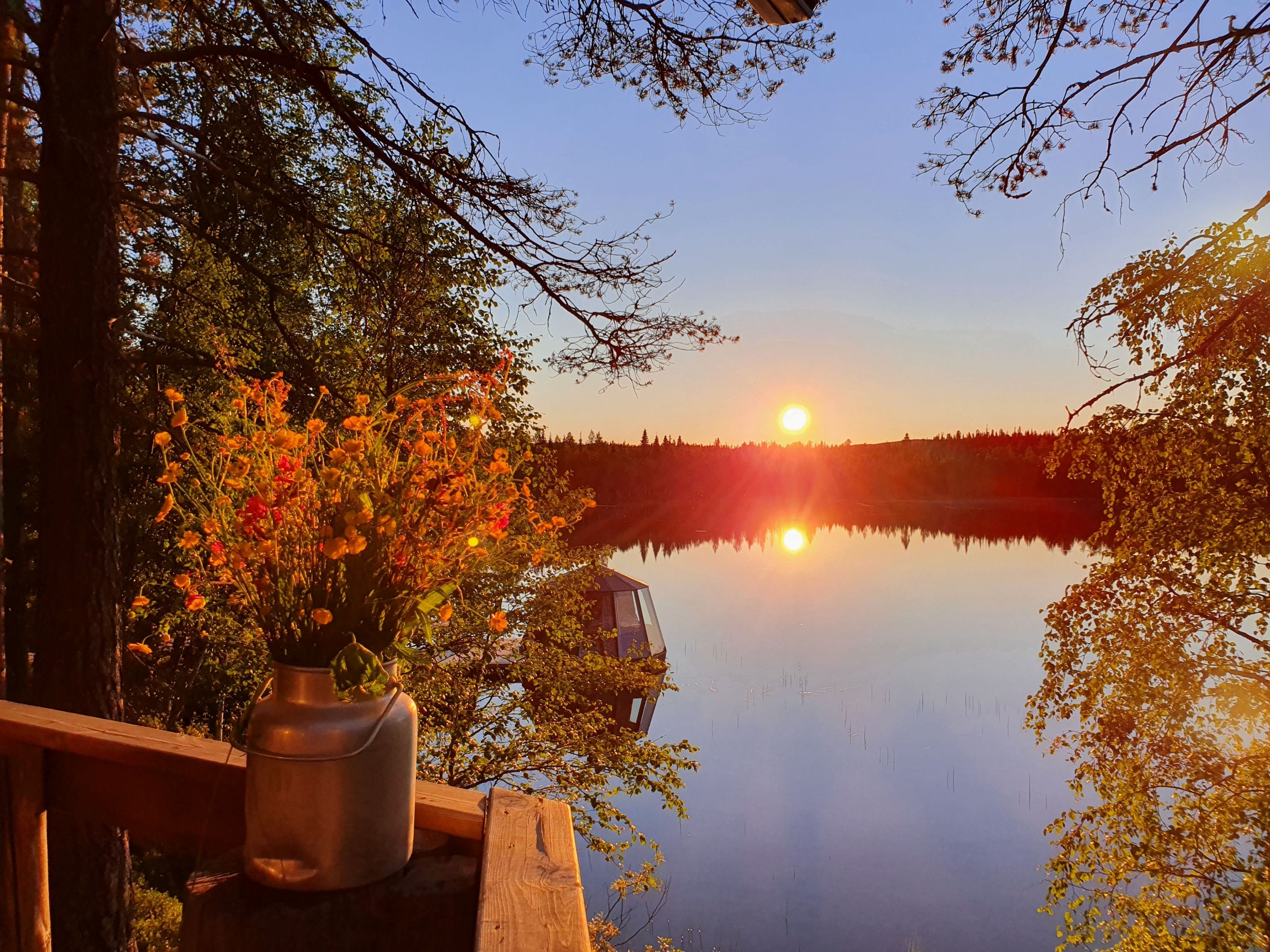 Evening sun