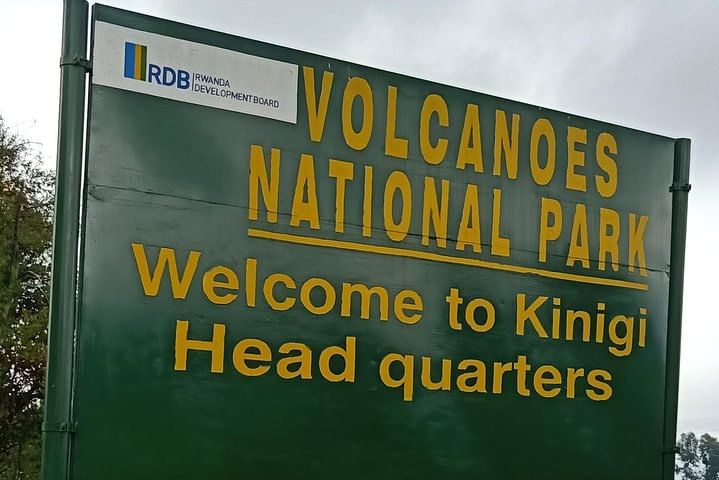 1-Day Gorilla Tracking at Volcanoes from Kigali