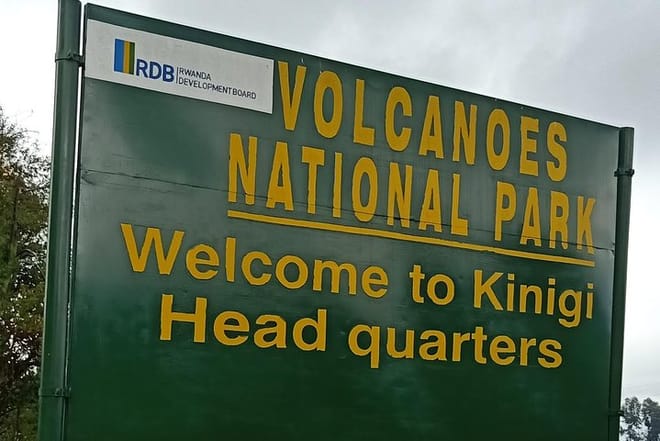 1-Day Gorilla Tracking at Volcanoes from Kigali 3