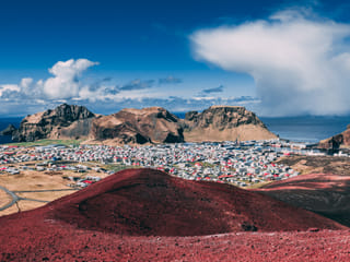 Full Day Private Vestmannaeyjar Tour From Reykjavik, photo 9