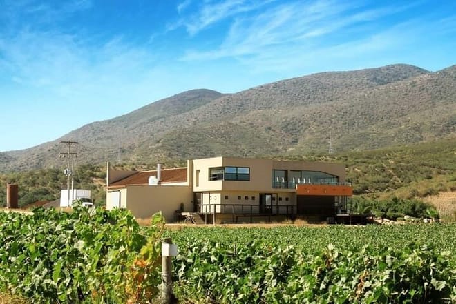 From the Border to Valle de Guadalupe Private Wine Tour - Photo 3