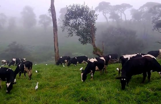 Take a Hill Country Journey on the Rail Tracks