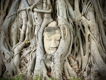 Private Ayutthaya Day Tour from Bangkok with Boat Ride