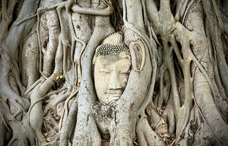Private Ayutthaya Day Tour from Bangkok with Boat Ride