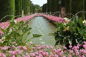 Alcazar and Gardens Guided Tour in Spanish Entrance Included