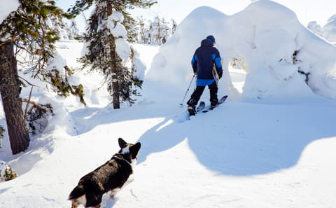 Snowshoe Trekking Adventure in Kemijärvi, Finland