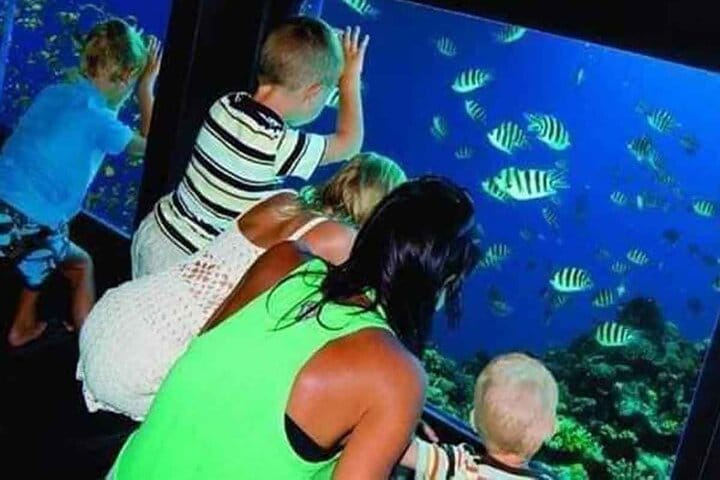 Under water Semi-Submarine Adventure – 2-Hour Tour from Hurghada