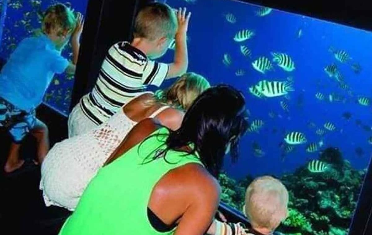 Under water Semi-Submarine Adventure – 2-Hour Tour from Hurghada