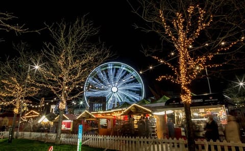 Galway Winter Wonderland Walking Tour and Christmas Market