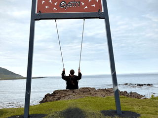 Seyðisfjörður: Puffins, Reindeer & Eastfjords Tour, photo 7