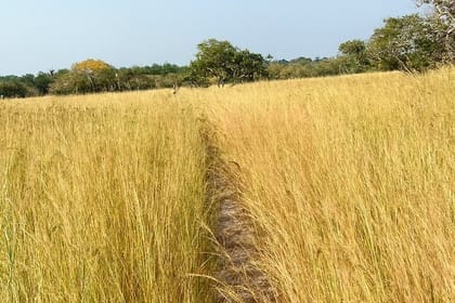 4 Day Desert Journey to Merzouga at the Heart of Morocco