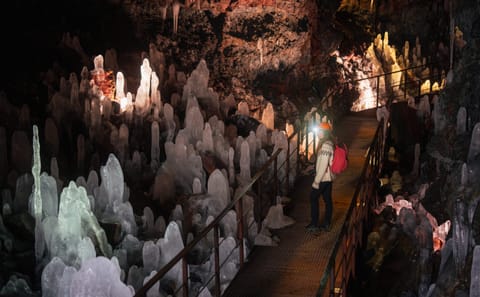 Best Offer: Lava Tunnel & Whale Watching