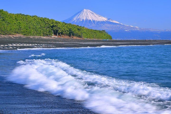 Private sightseeing tour from Shimizu Port / Van Taxi