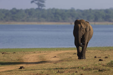 Amazing Sri Lanka – 6N/7D