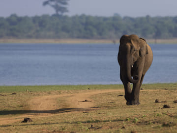 7-Day Adventure Tour of Colombo and Sri Lanka's Nature