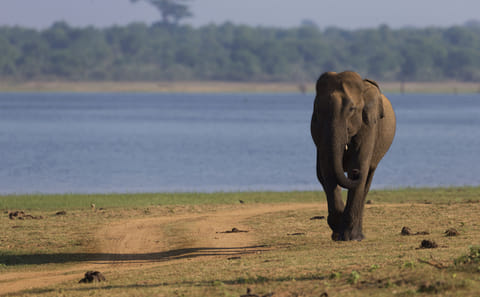 7-Day Adventure Tour of Colombo and Sri Lanka's Nature