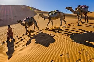 8 Days Camel Trek at the Desert in Morocco 