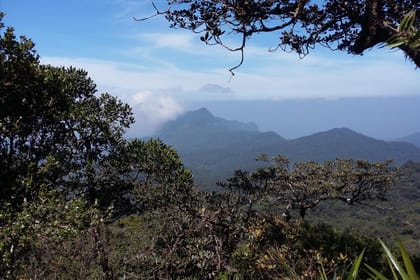 Glory of Sri Lanka (04 nights & 05 days)