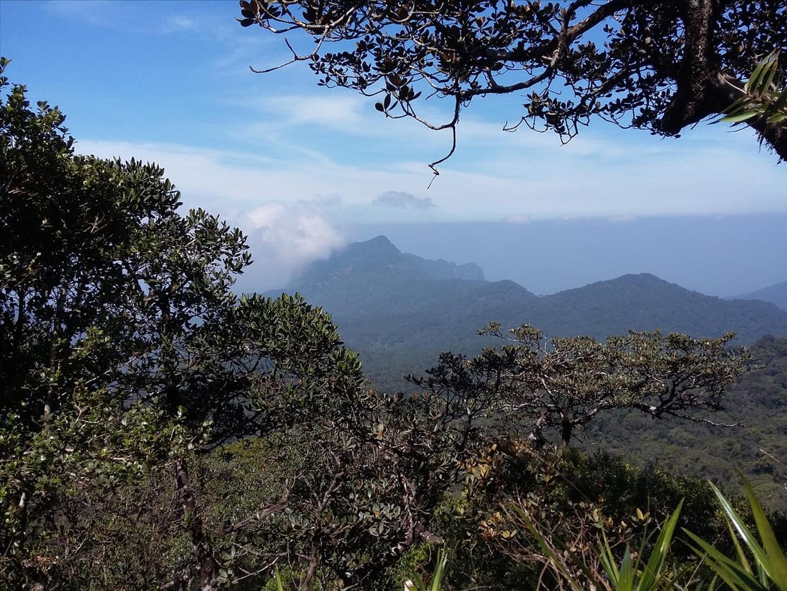 Glory of Sri Lanka (04 nights & 05 days) 3