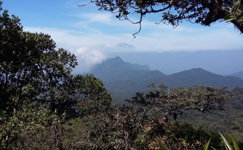Adventure and Nature Tour in Colombo, Sri Lanka - 5 Days